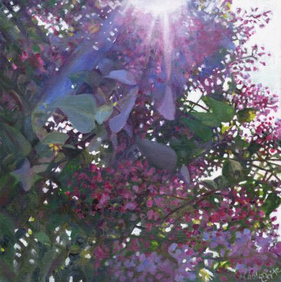 Brillanz, 2014 von Helen White